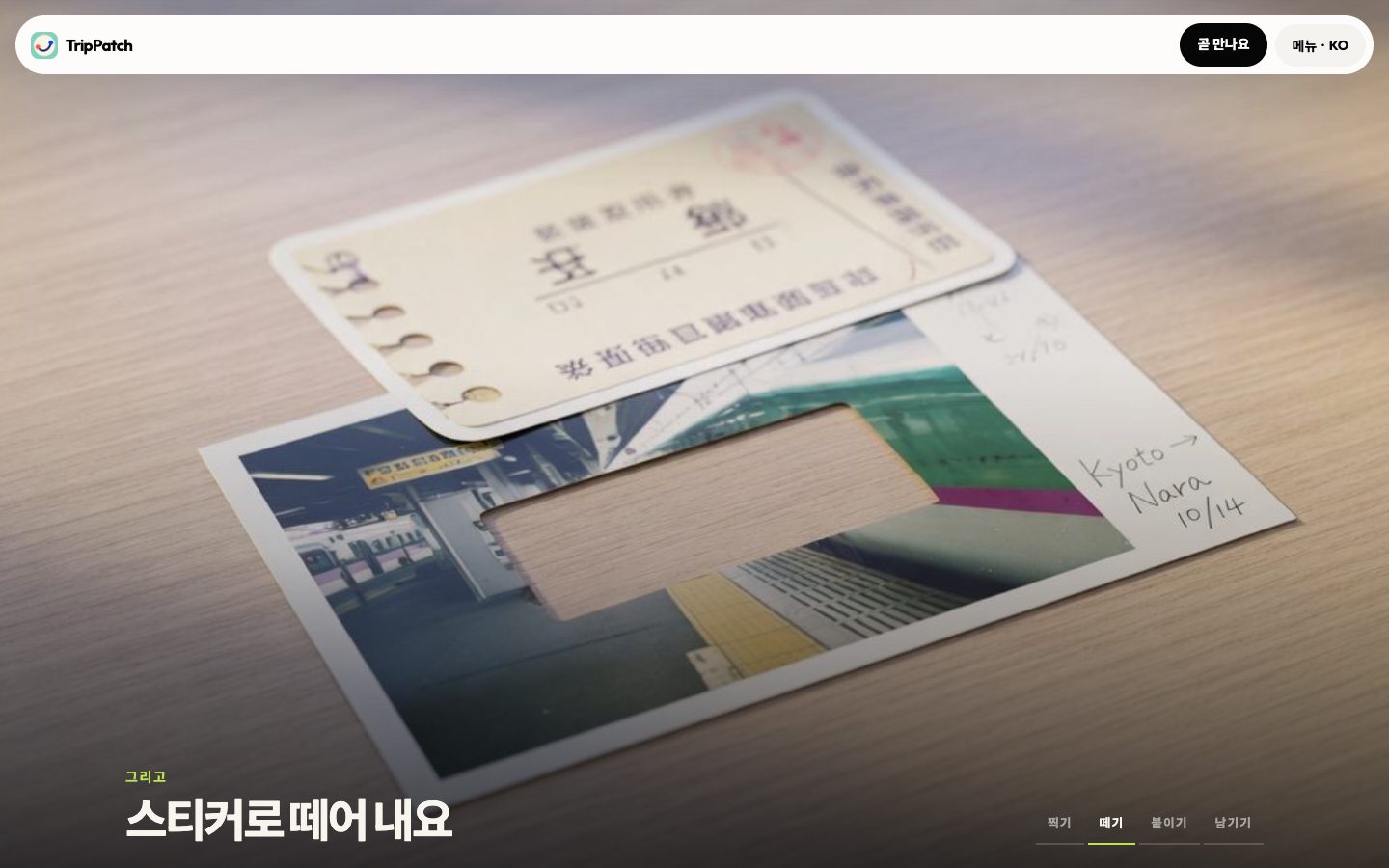 TripPatch 랜딩